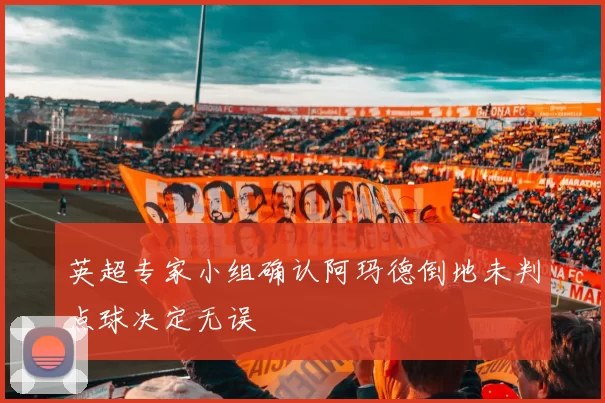 英超专家小组确认阿玛德倒地未判点球决定无误